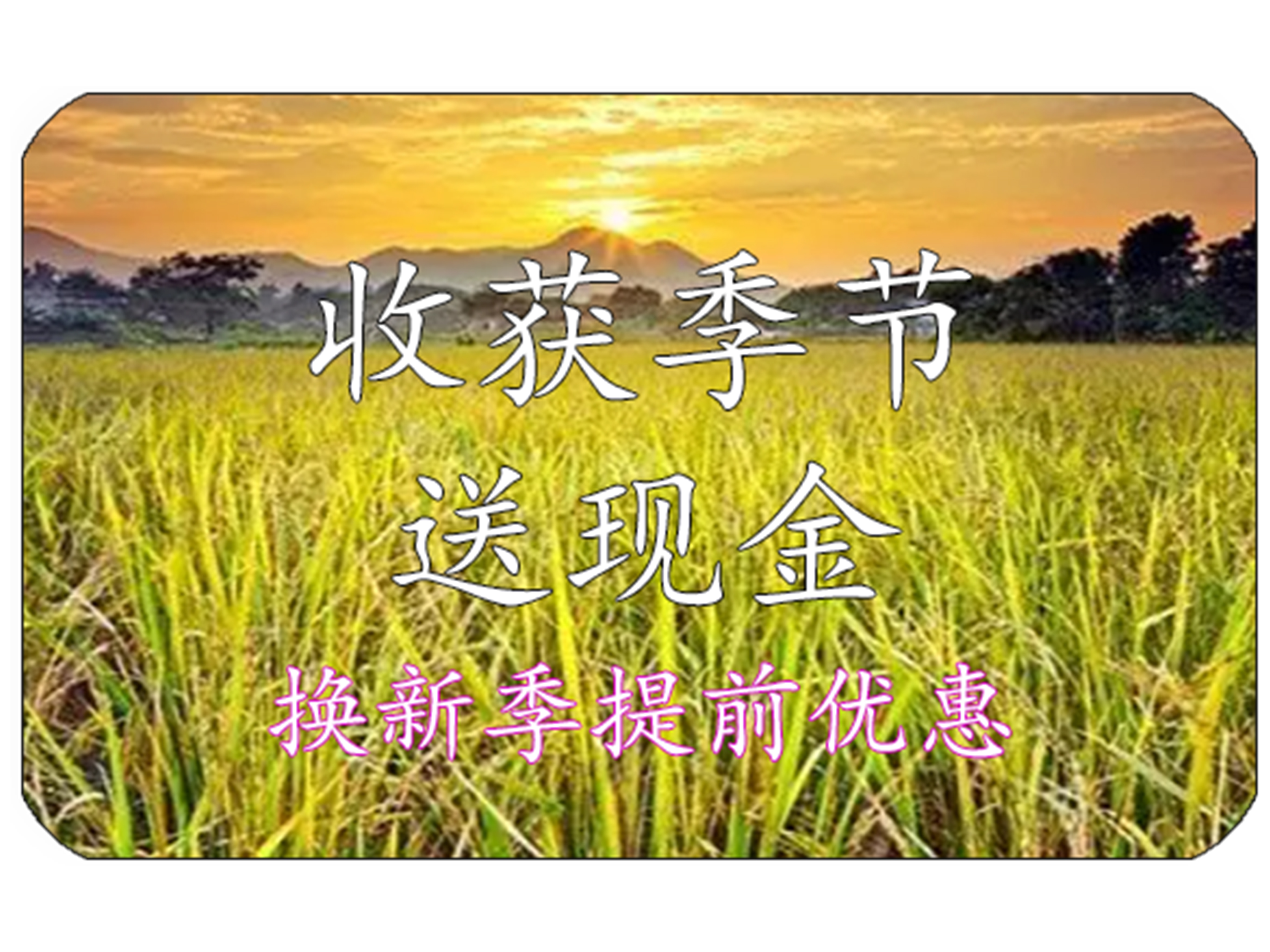 2023年第四季最新優(yōu)惠活動(dòng)